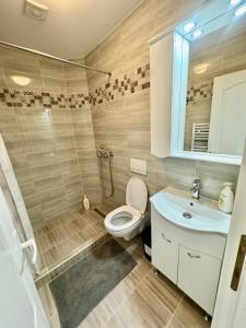 a bathroom with a toilet and a sink at La Pop Cu Drag in Ocna Şugatag
