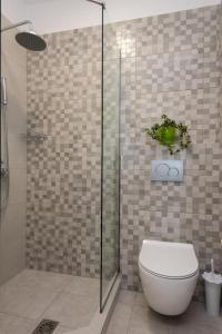 ein Badezimmer mit Toilette und Glasdusche in der Unterkunft Apelagitis 3 in Sifnos + 30 Fotos