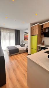 Kuchyň nebo kuchyňský kout v ubytování Single Room One Bed Suit