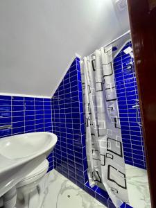 Затишок Карпат的配有水槽和马桶的蓝色瓷砖浴室 更多16张照片