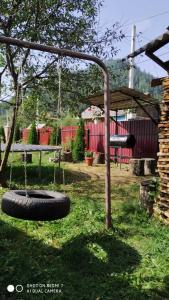 Затишок Карпат的摆在草上摆摆摆的轮胎