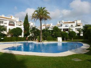 a large swimming pool with a palm tree in front of a building at Calahonda Delux in Sitio de Calahonda