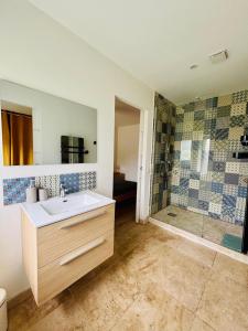 a bathroom with a sink and a shower at Villa La Forge in Parentis-en-Born