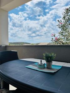 a table with a potted plant sitting on a balcony at Apartmani Summer in Kolan
