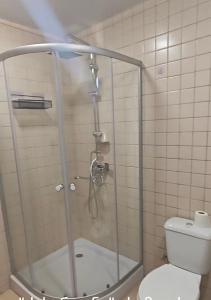 a shower stall in a bathroom with a toilet at Qusarion - ქუსარიონი in Agara