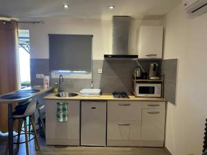 a small kitchen with a sink and a microwave at Zèl O Van in Petite Île