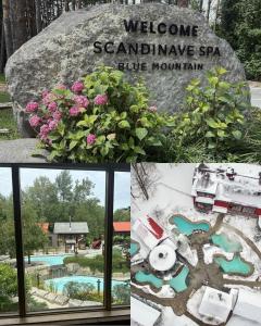 a collage of photos of a garden and a sign for a swimming pool at Happy Daze Big Space Near Village Hot Tub 38L-194 in Blue Mountains