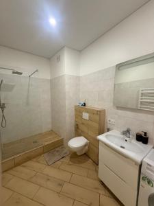 a bathroom with a toilet and a sink and a shower at Arkadia Terrace in Odesa