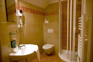 a bathroom with a toilet and a sink and a shower at Villa Margarita in Český Krumlov