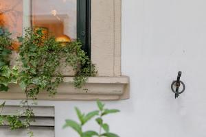 Fotografie z fotogalerie ubytování Vienna Hideaways - Boutique Stay with Secret Courtyard Access ve Vídni