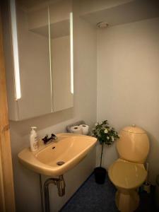 a bathroom with a sink and a toilet and a mirror at Villa 16 in Kivik +40 photos