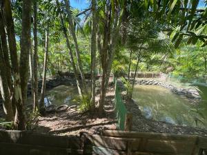 una piscina de agua en un parque con palmeras en Espaço Shekinah, en Engenho Araci 23 fotos más