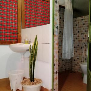 a bathroom with a sink and a potted plant at I LOVE AFRICA VILLAs in Moshi