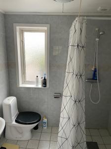 a bathroom with a shower and a toilet and a window at House in Linköping in Linghem