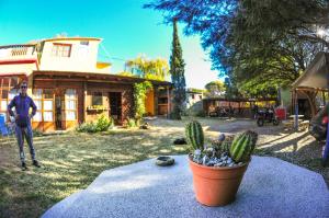 Κήπος έξω από το El Patio Valiente