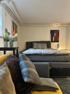 a living room with a couch and a bed at Ruhige 1 Zimmerwohnung Souterrain in Bortfeld