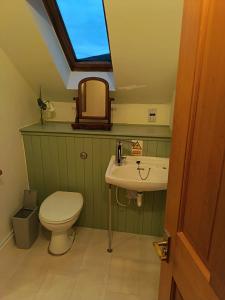 a bathroom with a toilet and a sink at River Black Water inn in Garve