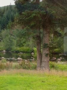 a view of a river from a train window at River Black Water inn in Garve
