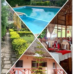 a collage of four pictures of a swimming pool at Analamazaotra hotel in Andasibe