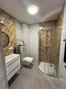 a bathroom with a shower and a toilet and a sink at Wczasy Chmielno Apartament PUDROWY in Chmielno