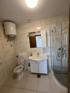 a bathroom with a toilet and a sink and a shower at Apartman 4 Majba in Zaglavice