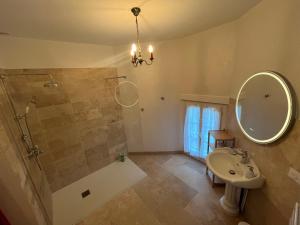 un bagno con doccia, lavandino e specchio di La Maison Voyage Bed and Breakfast a Onzain