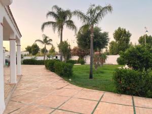a patio with palm trees and a yard at Villa CaboNegro 2 - Family only in Martil
