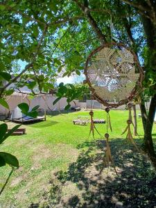 a basket hanging from a tree in a yard at Camping Urbano La Casita in Pedreiras +32 photos