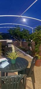 a table with a potted plant sitting on a patio at Cantinho Alentejano-Rua das Hortas, Corte Pao e Agua in Mértola