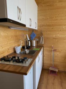 a kitchen with a sink and a counter top at Bobokvati Eco Twins in Dagva