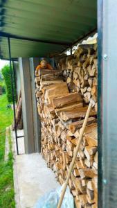 Φωτογραφία από το άλμπουμ του Tubize σε Tubize +12 φωτογραφίες