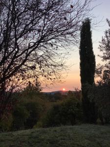 Una puesta de sol con un árbol alto en un campo. en Provence Luberon, en Grambois