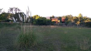 Un campo de hierba con una casa al fondo en Provence Luberon, en Grambois