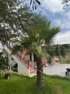 a palm tree in front of a house at Villa famille in Ida Ougourd