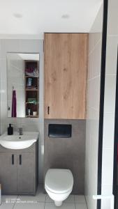 a bathroom with a toilet and a sink at Domek nad Jeziorem in Ryn +12 photos
