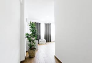 Galería fotográfica de Nice apartment with pool en Punta Cana