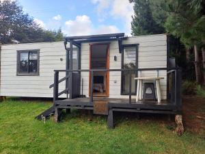 a tiny house on a stand in the grass at CABAÑAS LOMAS DE YECO in Valdivia