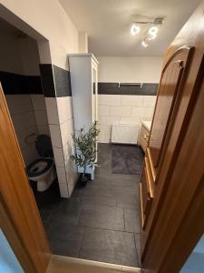 a bathroom with a toilet and a plant in it at Haus Marchfeld in Weikendorf +18 photos