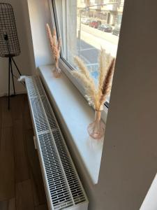 a window sill with two plants sitting on it at Monteurwohnung Pforzheim mit Balkon - QuartierPro in Pforzheim +6 photos