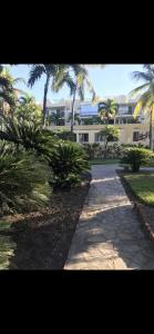 a walkway in front of a building with palm trees at Garden condos, unit#8 in Sosúa
