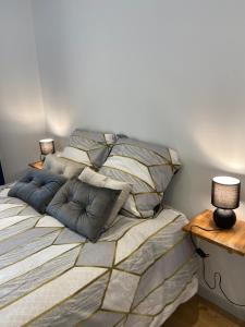 Ένα ή περισσότερα κρεβάτια σε δωμάτιο στο Magnifique Appartement T2 situé en Hyper centre