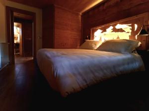 a bedroom with a large bed in a room at Maso Clementina in Pieve Tesino