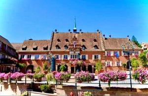 a large building with flowers in front of it at Le nid du Piémont in Barr