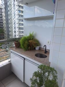 a bathroom sink with potted plants on a counter at Chácara Jatoba in Belém