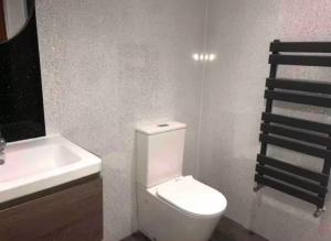 a bathroom with a white toilet and a sink at 106 Brynmill - Room 9 - Sea Views in Sketty +6 photos