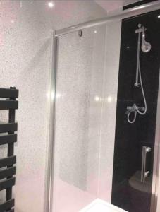 a shower in a bathroom with a glass door at 106 Brynmill - Room 9 - Sea Views in Sketty