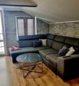 una sala de estar con un sofá y una mesa en Dom Kopernica 5, en Chełm
