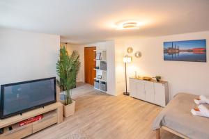 a living room with a large flat screen tv at HANNIBAL - Studio-Apartment Iris 10, Parkplatz, Küche, WLAN, Nähe Autobahn in Wolfsburg