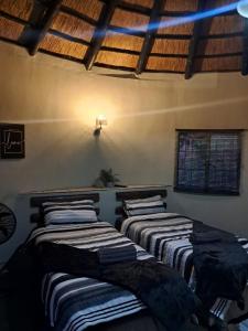 three beds lined up against a wall in a room at Afpak in Barberton +7 photos