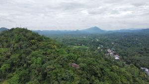 an aerial view of a forested hill with mountains at Elephant vale in Kegalle